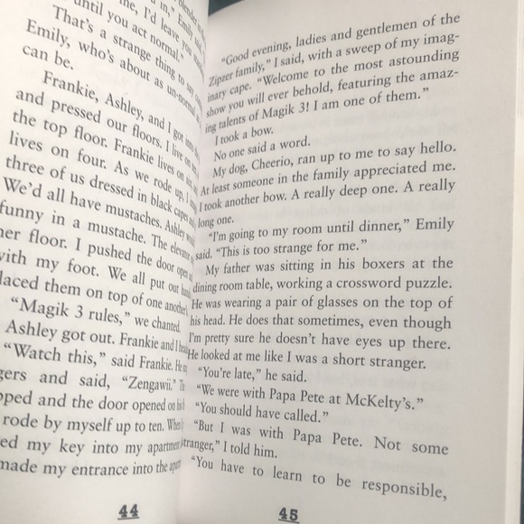 Book- Hank Zipzer, the World's Greatest Underachiever Niagara Falls, or Does It? - Picture 8 of 16